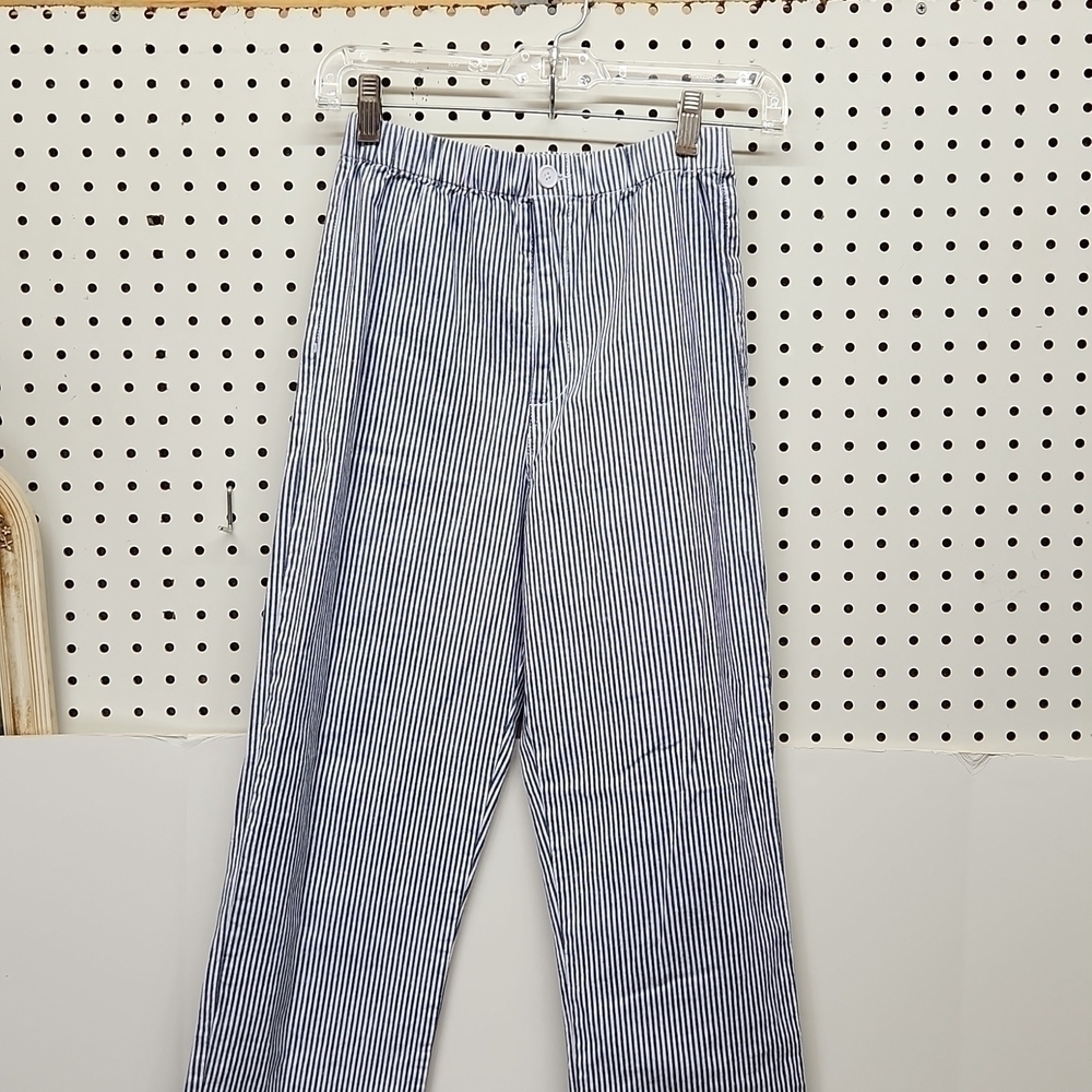 Pacsun John Galt pants NWT size 1 blue stripes